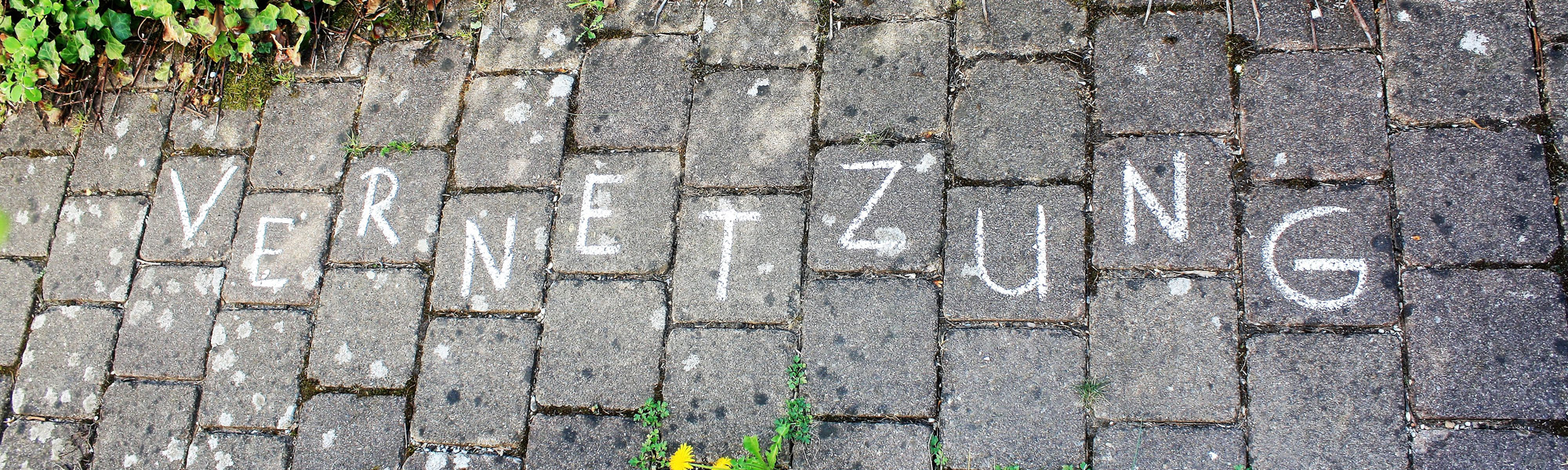 Vernetzung